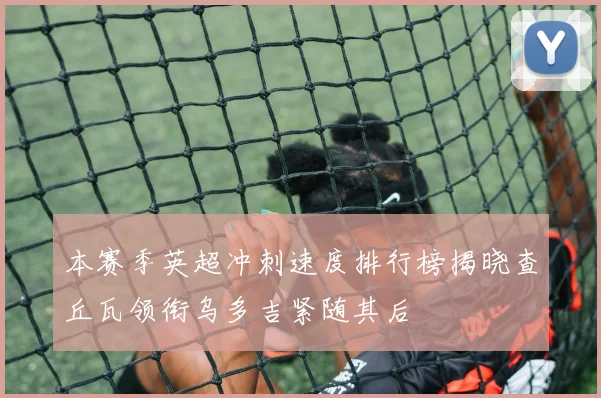 本赛季英超冲刺速度排行榜揭晓查丘瓦领衔乌多吉紧随其后